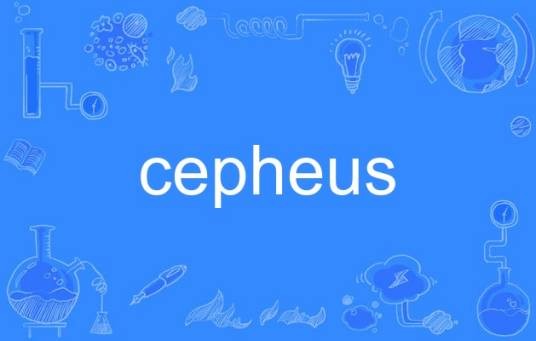 cepheus（英语单词）