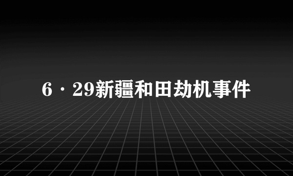 6·29新疆和田劫机事件