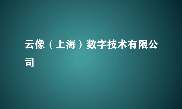 云像（上海）数字技术有限公司