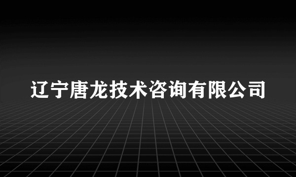 辽宁唐龙技术咨询有限公司