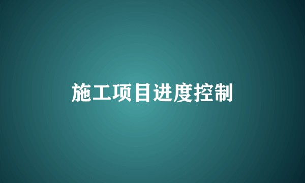 施工项目进度控制
