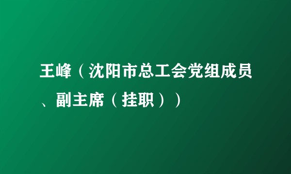 王峰（沈阳市总工会党组成员、副主席（挂职））