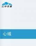 心域（伟会著网络小说）