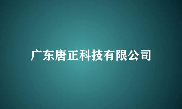 广东唐正科技有限公司