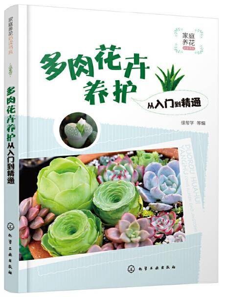 多肉花卉养护从入门到精通