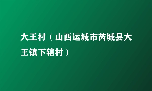 大王村（山西运城市芮城县大王镇下辖村）
