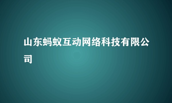 山东蚂蚁互动网络科技有限公司