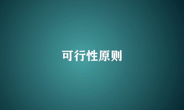 可行性原则