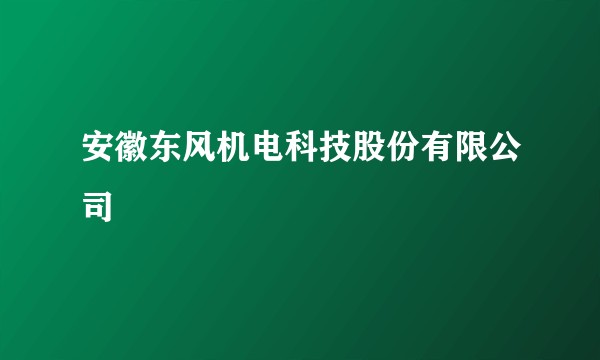 安徽东风机电科技股份有限公司