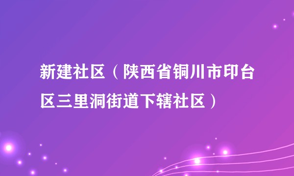 新建社区（陕西省铜川市印台区三里洞街道下辖社区）