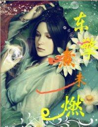 逮捕王爷;倾世太子妃