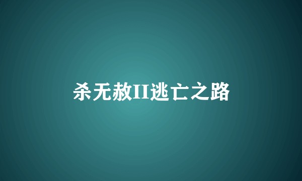 杀无赦II逃亡之路