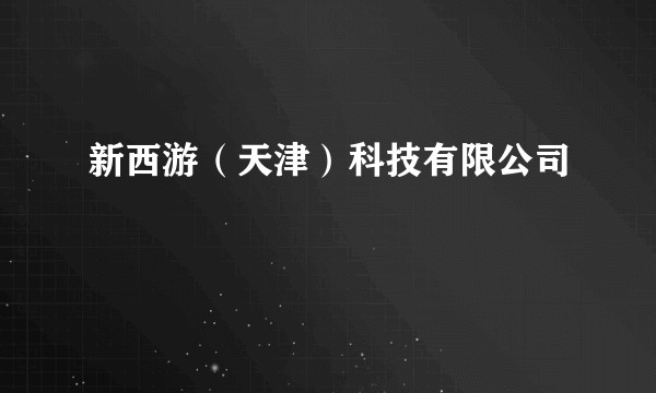 新西游（天津）科技有限公司