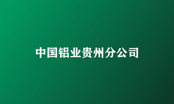 中国铝业贵州分公司
