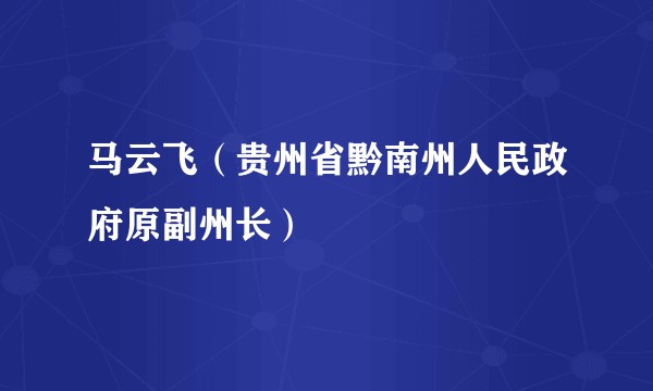 马云飞（贵州省黔南州人民政府原副州长）