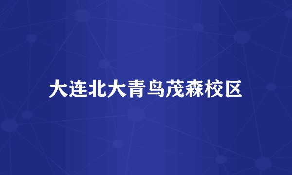 大连北大青鸟茂森校区