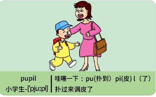 小学生的英语怎么说