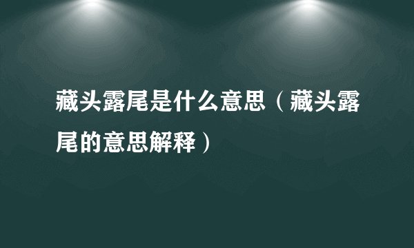 藏头露尾是什么意思（藏头露尾的意思解释）