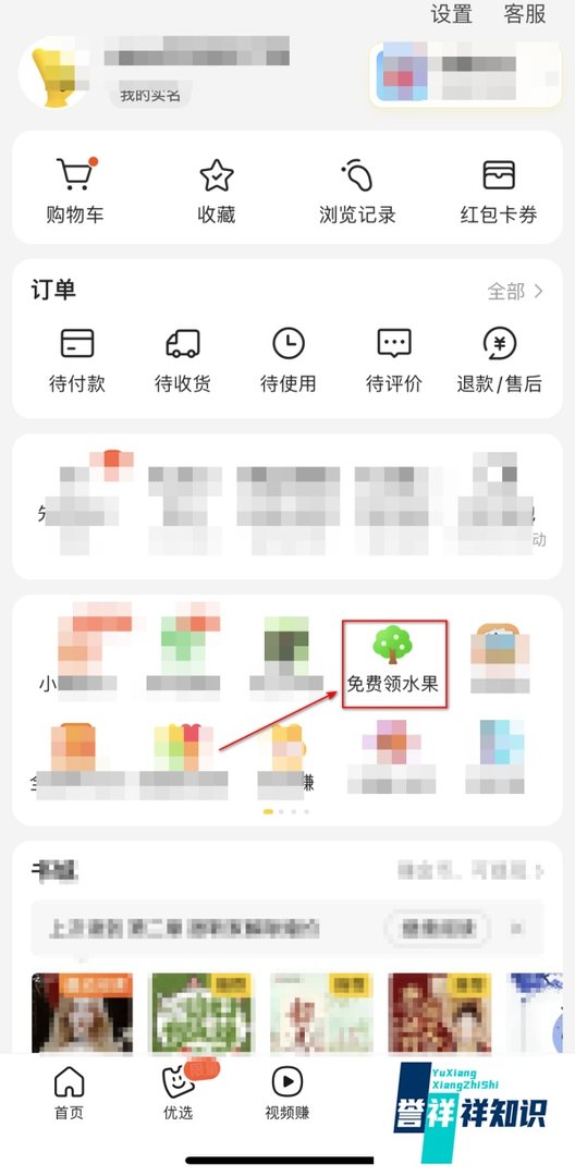 美团的免费领水果入口在哪里