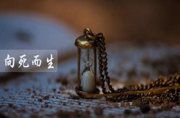 “向死而生”什么意思？