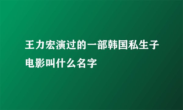 王力宏演过的一部韩国私生子电影叫什么名字