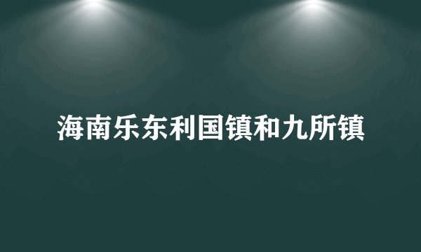 海南乐东利国镇和九所镇