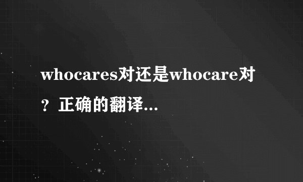 whocares对还是whocare对？正确的翻译是什么？？