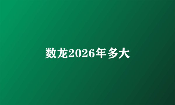 数龙2026年多大