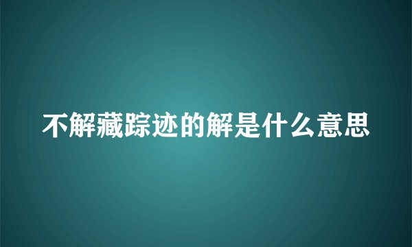 不解藏踪迹的解是什么意思