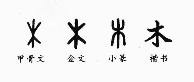 木的甲骨文怎么写？