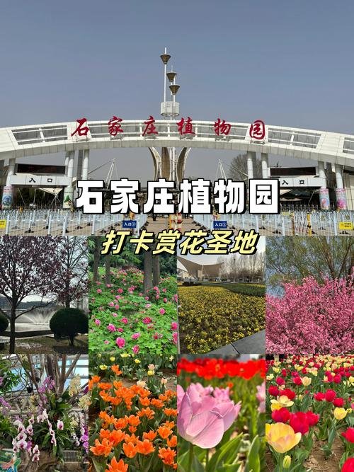 石家庄植物园门票网上怎么买，石家庄植物园购票优惠政策