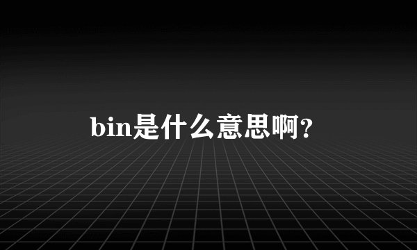 bin是什么意思啊？