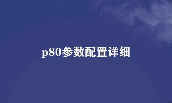 p80参数配置详细