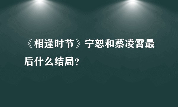 《相逢时节》宁恕和蔡凌霄最后什么结局？