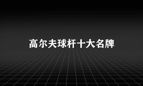 高尔夫球杆十大名牌