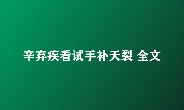 辛弃疾看试手补天裂 全文