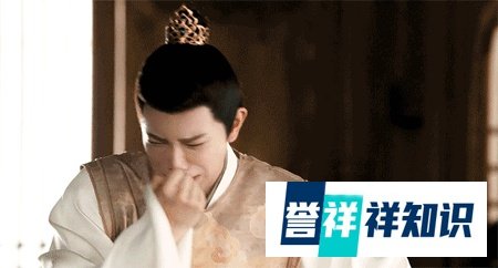 一口气追8集,这部反套路沙雕网剧大玩“女尊男卑”,从头笑到尾