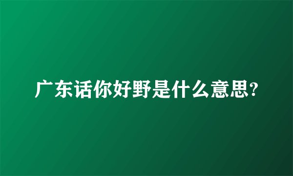 广东话你好野是什么意思?
