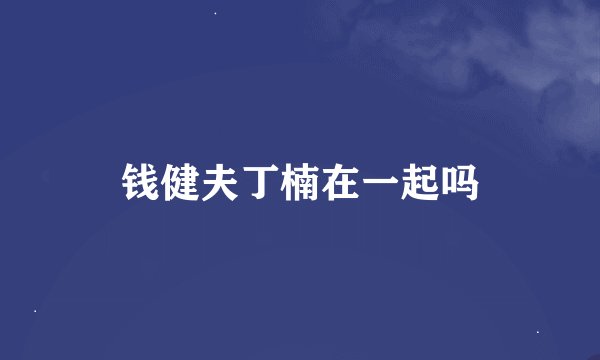 钱健夫丁楠在一起吗
