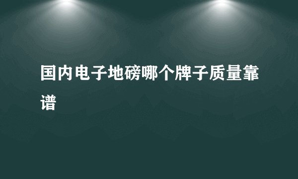 国内电子地磅哪个牌子质量靠谱