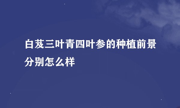 白芨三叶青四叶参的种植前景分别怎么样