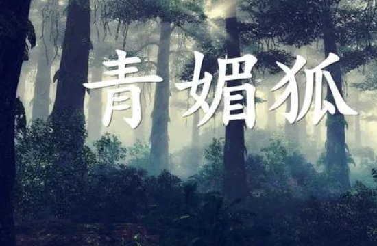 青媚狐白止原唱