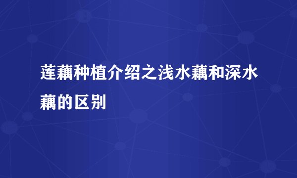 莲藕种植介绍之浅水藕和深水藕的区别