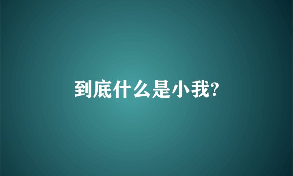到底什么是小我?