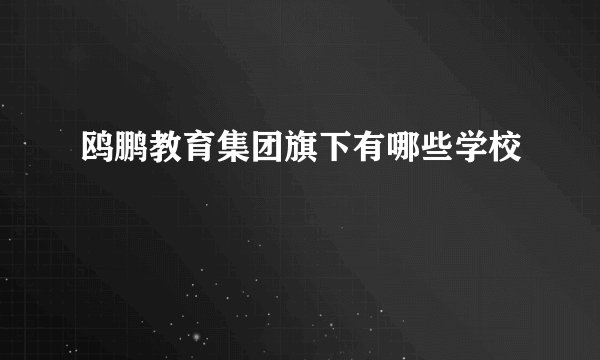 鸥鹏教育集团旗下有哪些学校