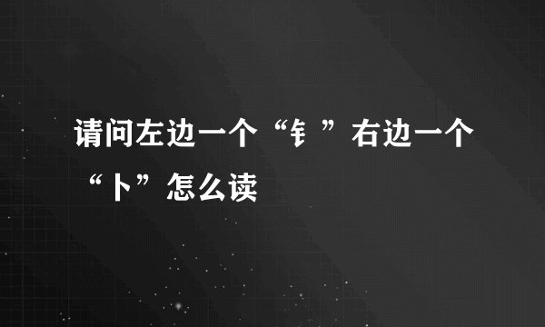 请问左边一个“钅”右边一个“卜”怎么读