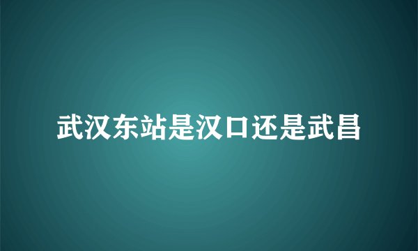 武汉东站是汉口还是武昌