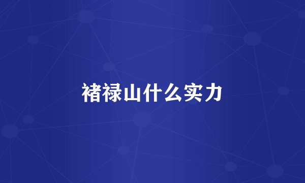 褚禄山什么实力