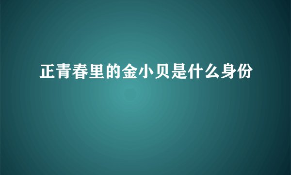 正青春里的金小贝是什么身份