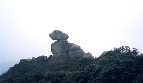 怎样描写“天狗望月”这幅图画的?